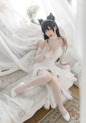 风之画员电视剧全集免费观看_DVD免费观看视频
